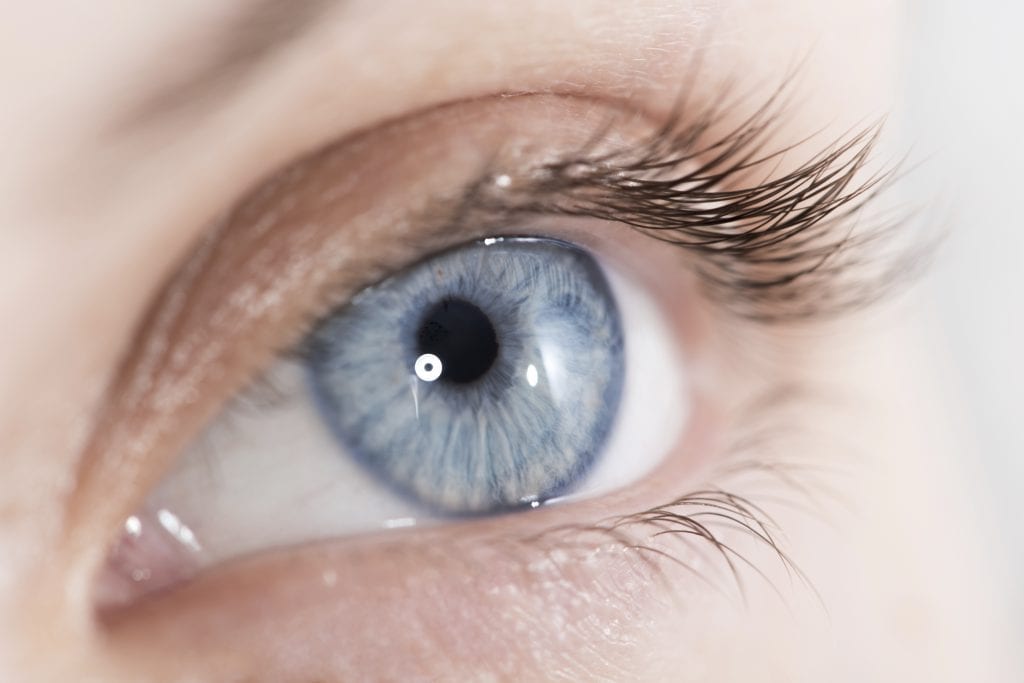 Closeup shot of a beautiful woman eye