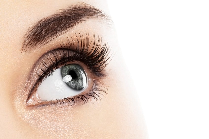 woman eye with long eyelashes. Space for text.