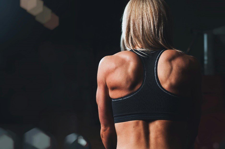 woman's back muscles